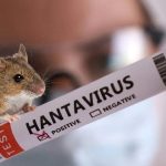 Хантавірусна інфекція